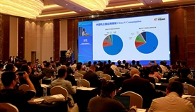 川觀新聞10月27日報道:“釩間”的兩場國際會議為什么選擇樂山?