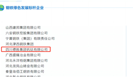 沙灣發(fā)布6月6日報道:釩鈦榮獲“綠色發(fā)展標桿企業(yè)”